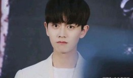 任嘉伦最新八卦爆料,任嘉伦新恋情曝光？神秘女友身份引热议