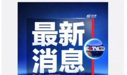 官方媒体爆料新闻,揭秘事件背后真相